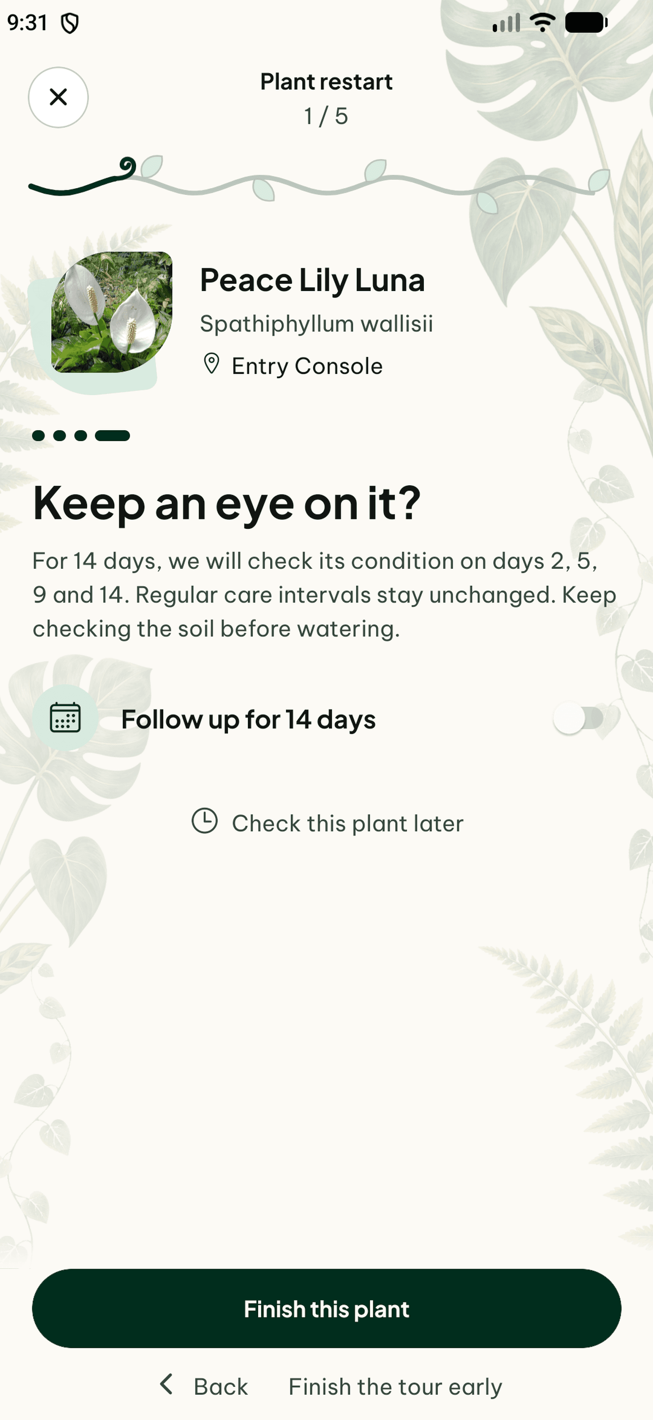 Plantly plant restart offering a 14-day follow-up for Peace Lily Luna