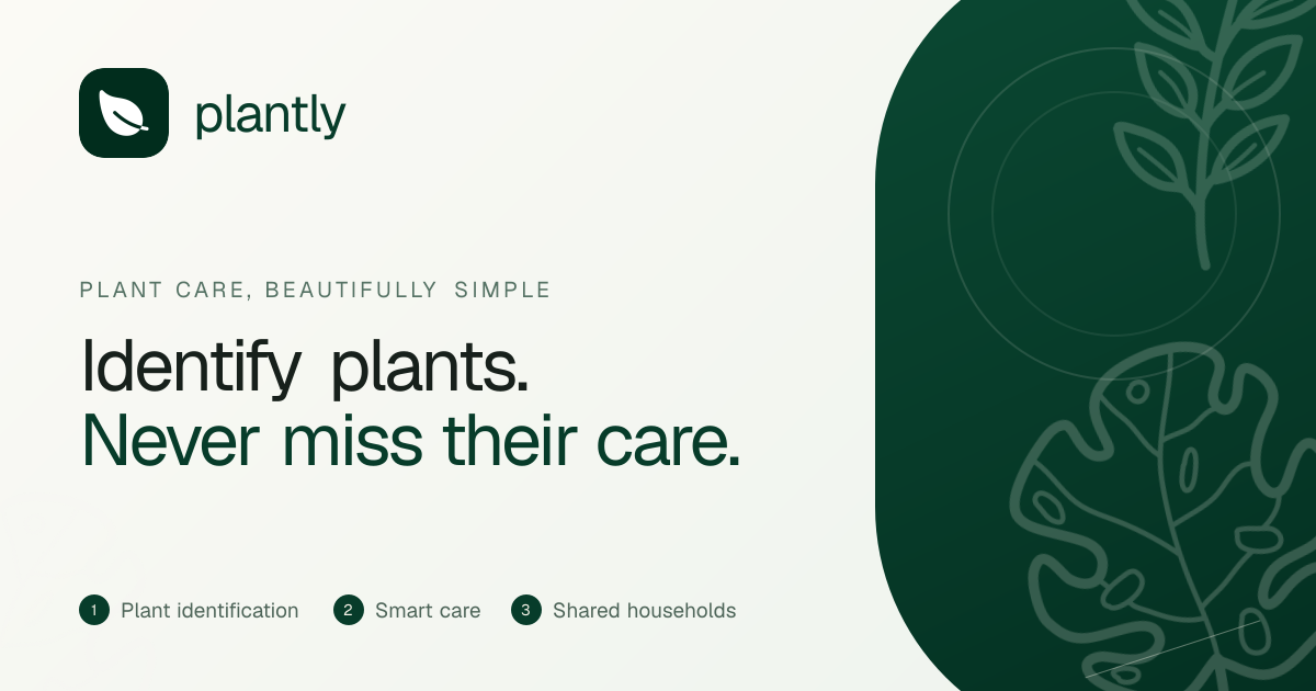 Indoor Azalea Care: Watering, Light and Soft Water | Plantly
